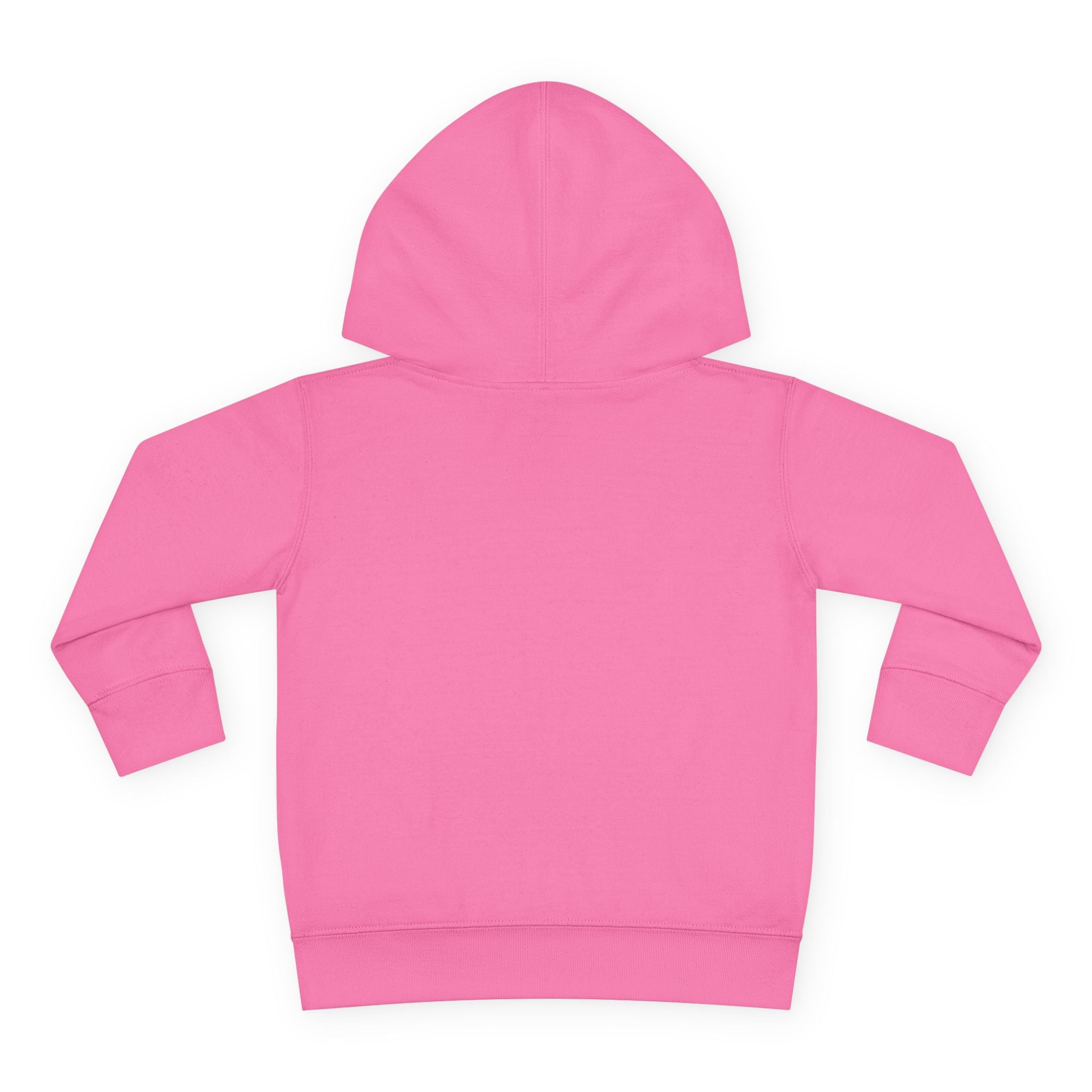 Toddler Hoodie — Sunflower Dragonfly Graphic Pullover