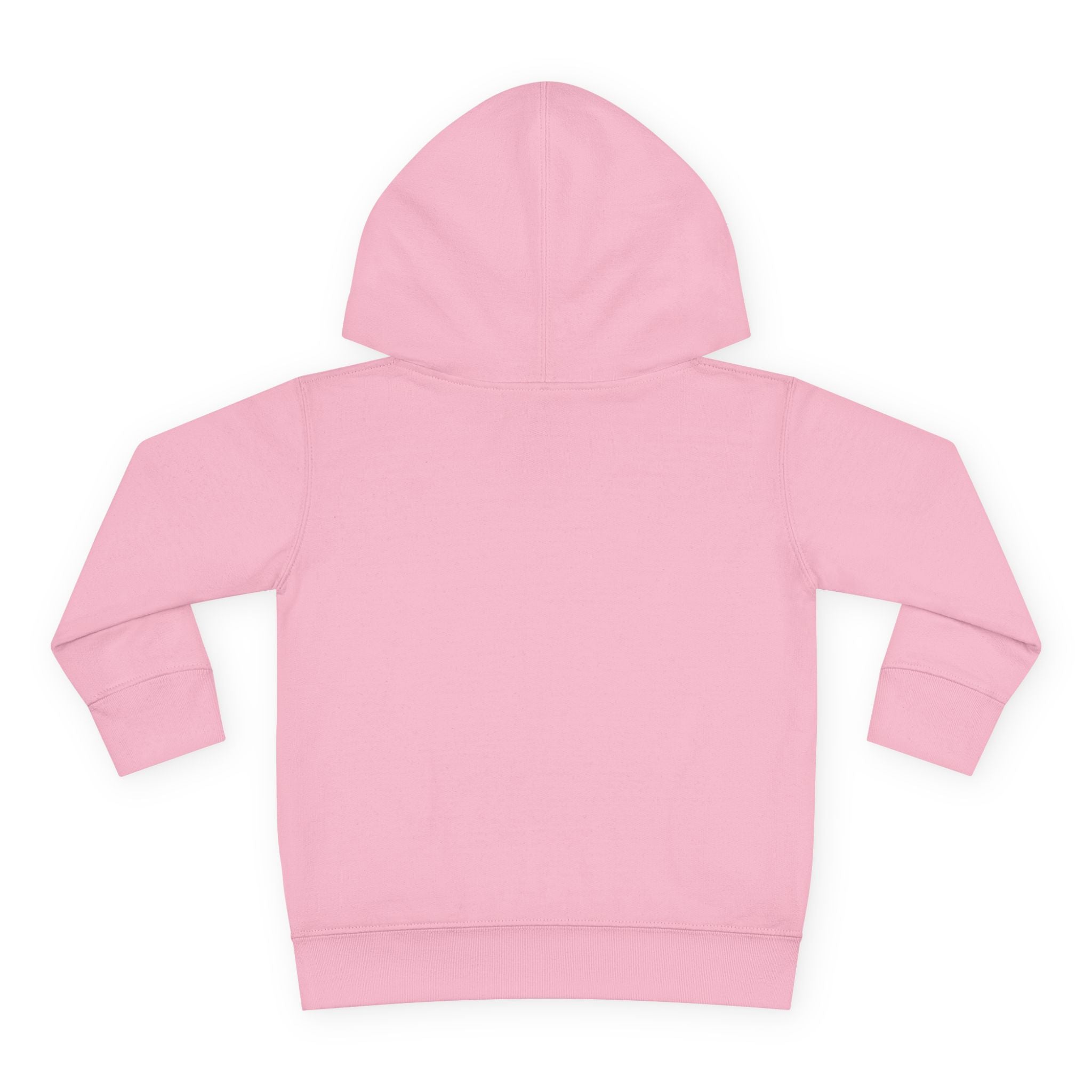 Toddler Hoodie — Sunflower Dragonfly Graphic Pullover