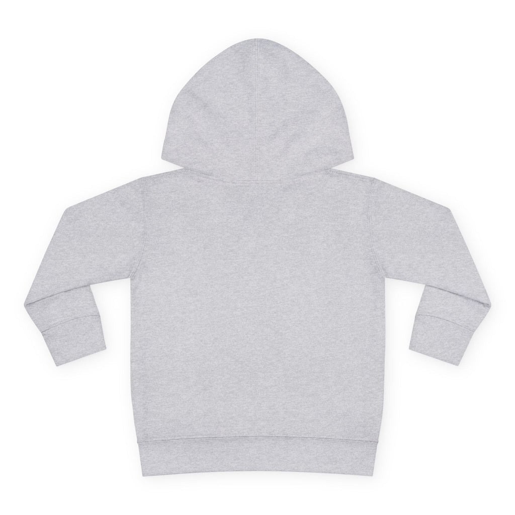 Toddler Hoodie - Blue Sea Adventures Nautical Sailboat Fleece Pullover