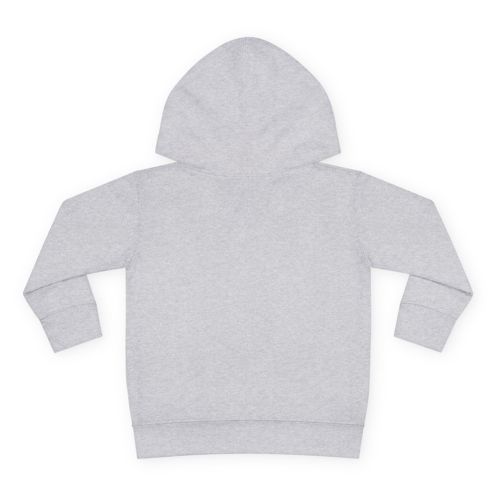 Toddler Hoodie - Blue Sea Adventures Nautical Sailboat Fleece Pullover