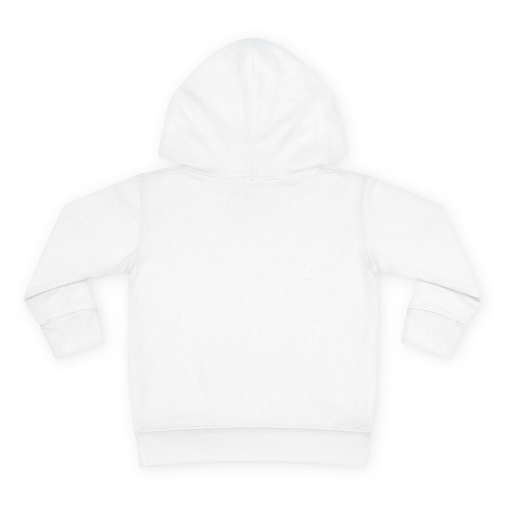 Toddler Hoodie - Blue Sea Adventures Nautical Sailboat Fleece Pullover