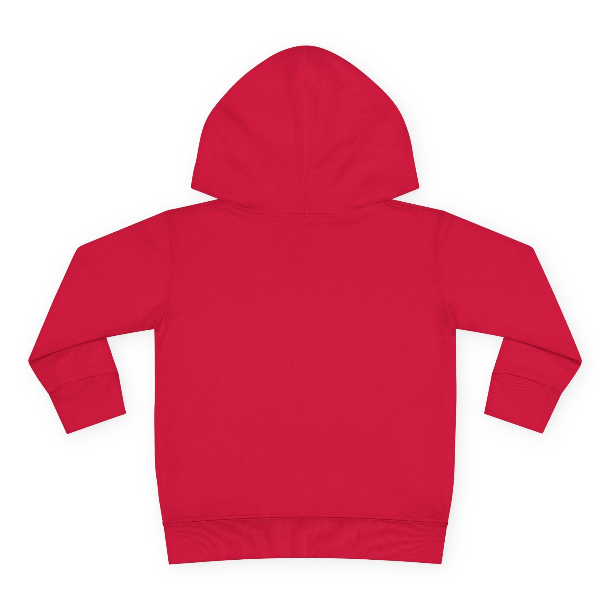 Toddler Hoodie — Sunflower Dragonfly Graphic Pullover