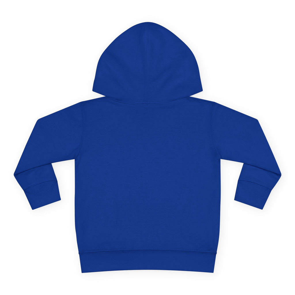 Toddler Hoodie - Blue Sea Adventures Nautical Sailboat Fleece Pullover
